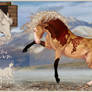 Horse Adopt 22 (Open)