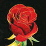 Oil Pastel Rose