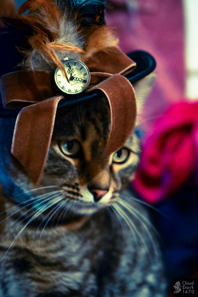 Steampunk Cat Nr. 1 (Killian)