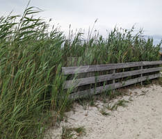 Beach Fence