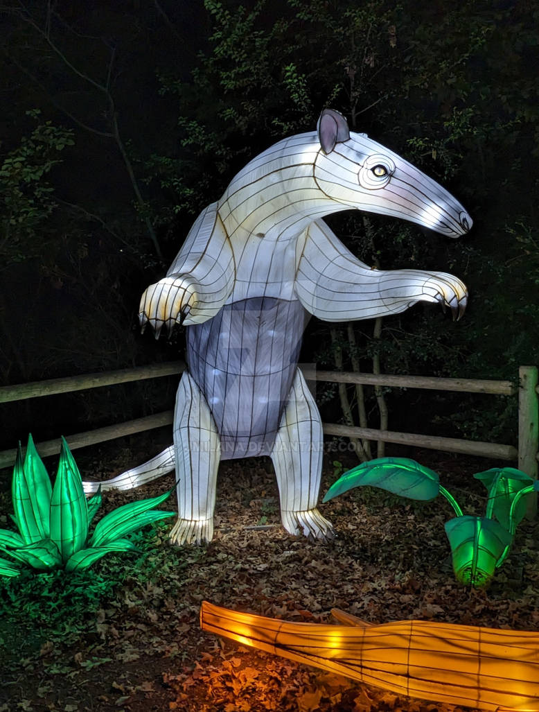 Giant Anteater By Jmilana On Deviantart Giant Anteater By Jmilana On Deviantart