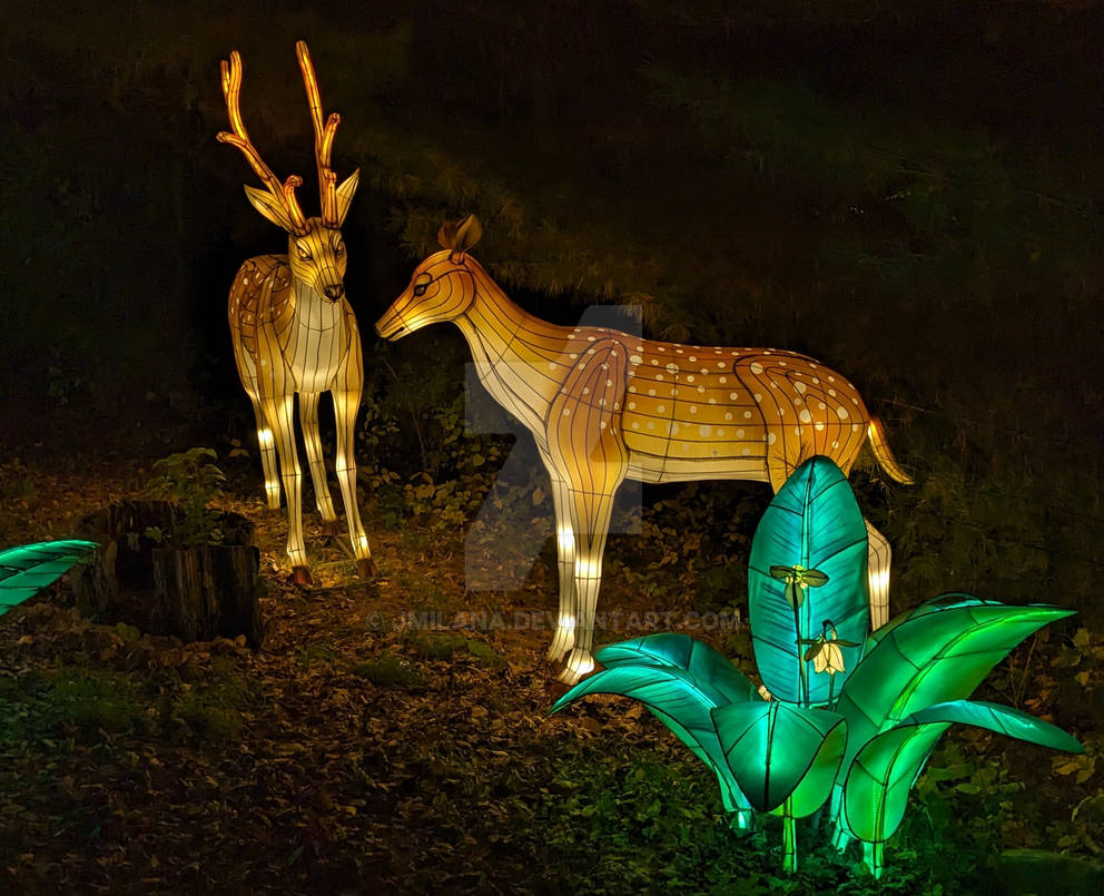 Deviantart Fallow Fallow Deer by jmilana on DeviantArt