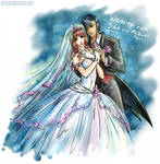 Guyver - Sho and Mizuki wedding by Lucithea