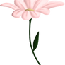 random flower