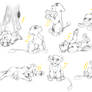 The Many Antics of Kota