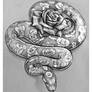 Rosey Snake
