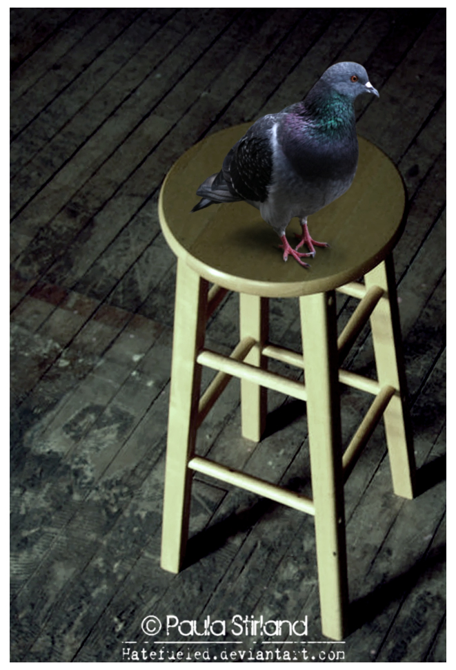 Stool Pigeon by hatefueled on DeviantArt