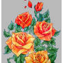 Coloured Roses