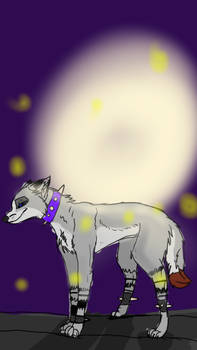 Luna Moon the wolf