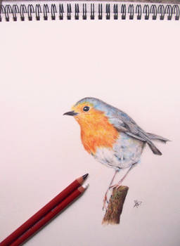 Robin