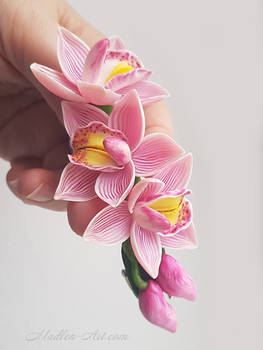 Feelings,  orchids barrette