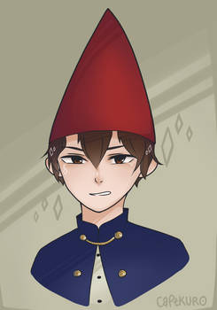 Wirt head