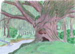 Mr. Tree