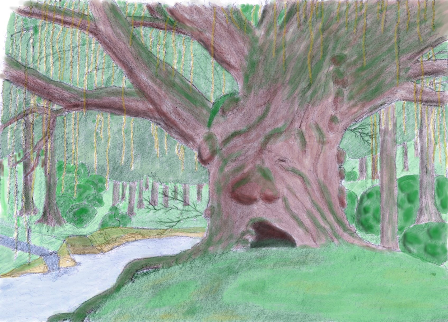 Mr. Tree