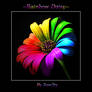 Rainbow Daisy
