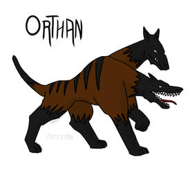 Orthan: evolves from Darkan