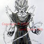 DBZ- Super Saiyan Vegetto