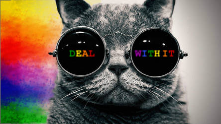 DEAL WITH IT