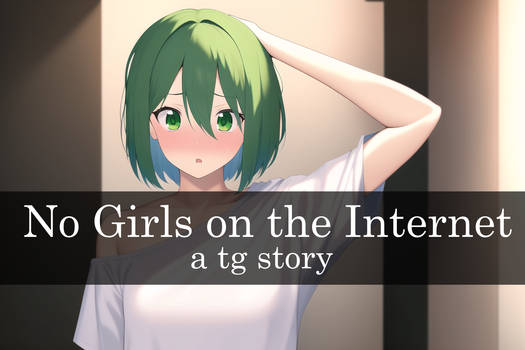 No Girls on the Internet - a tg story