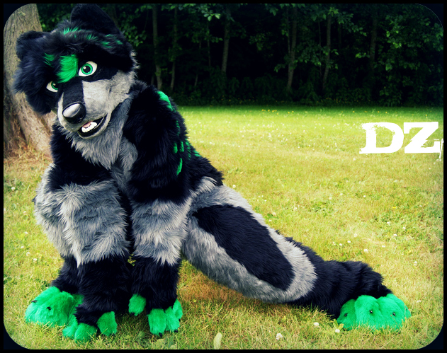 Wolf full-suit fursuit