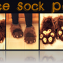 Mlice Sock Paws - CMSH