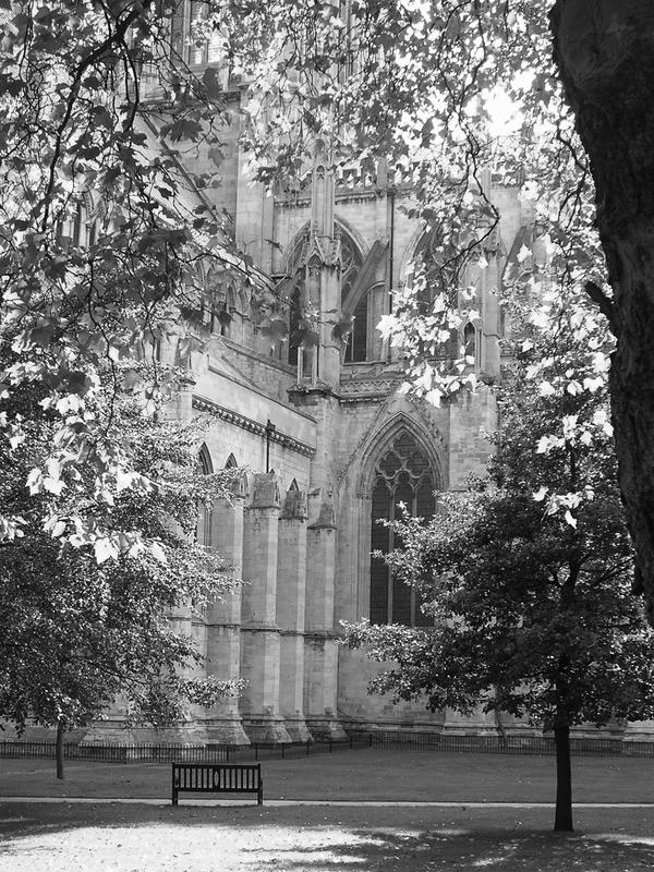 Cathedral through the trees