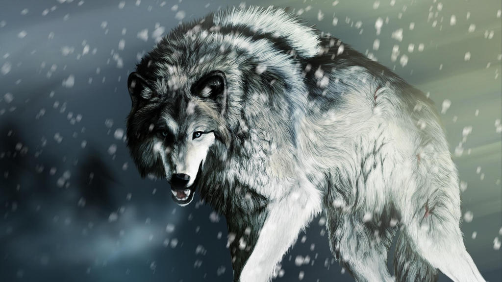 https www deviantart com alphapackdarkcurse art white wolf snow pictures hd wallpaper 461533203