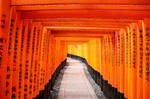 Fushimi Inari by hhamblin