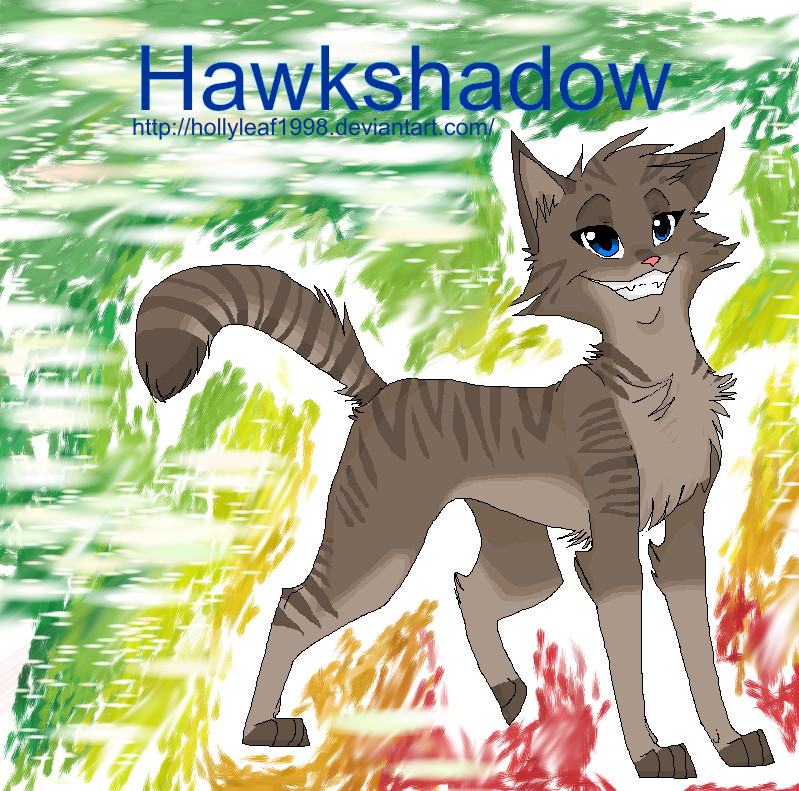 Hawkshadow