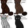 Med. cat adoptables