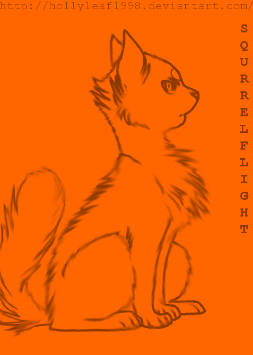 Squirrelflight-orange