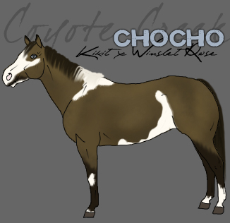 Chocho -- SOLD