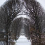 Snowy Day Stock -10