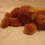 Teddy Bear Stock-Six