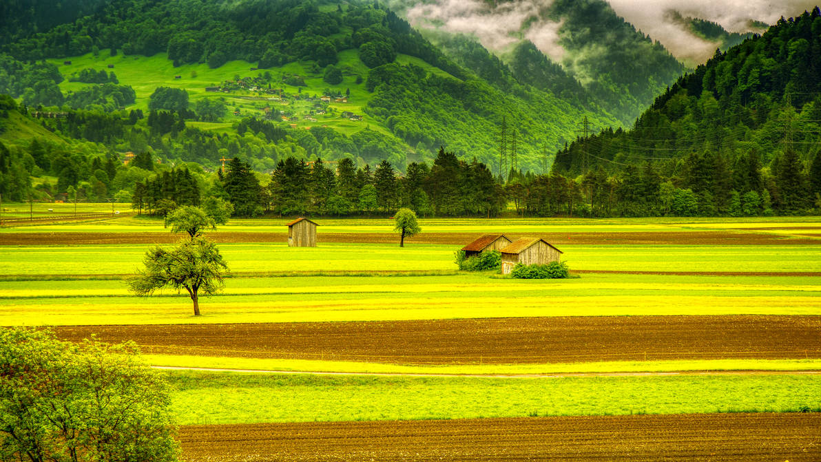 Farm grass. Зеленые холмы Швейцарии. Швейцария поля Луга домик. Зеленая Долина горы поле. Сельскохозяйственный ландшафт.