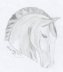 Horse Head