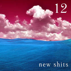 new shits 12