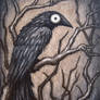 Black Bird XXVII