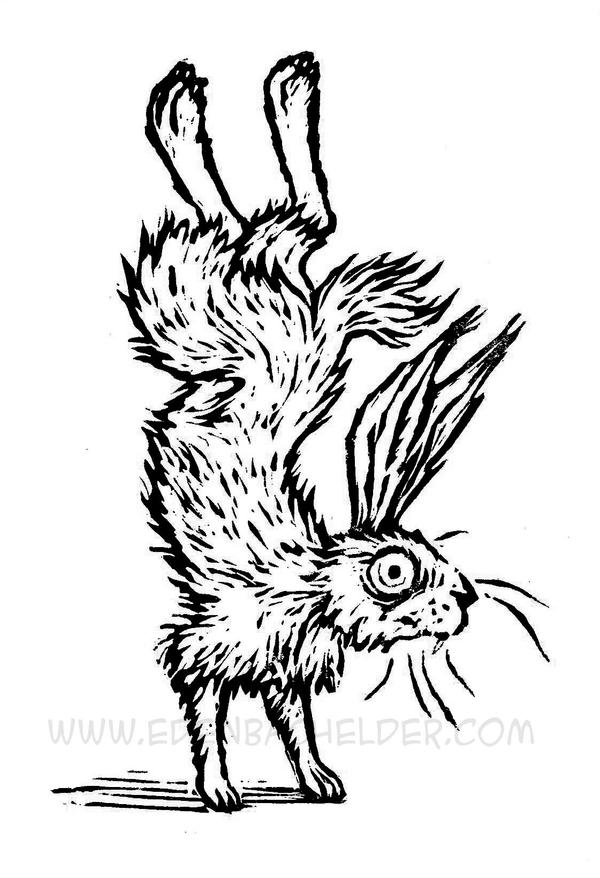 Hare, Standing on End