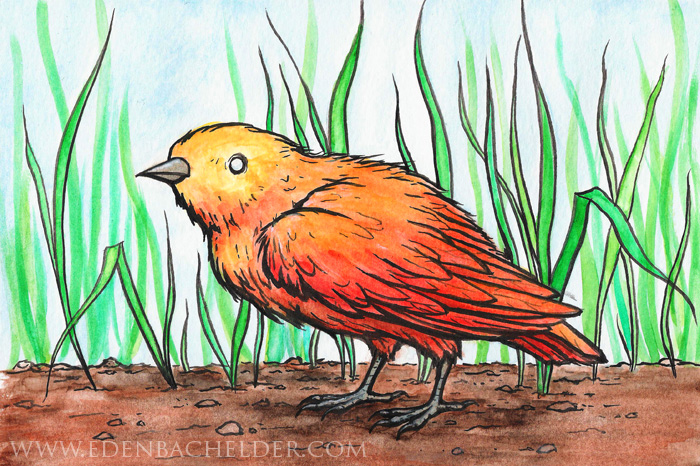 Little Bird Watercolour