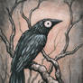 Black Bird Watercolour II