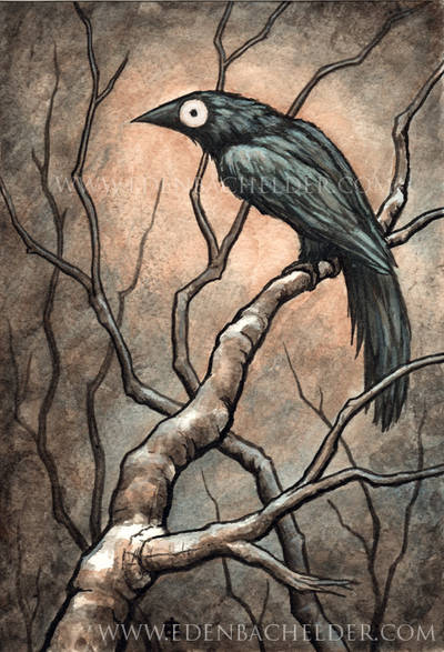 Black Bird Watercolour IV by shmeeden