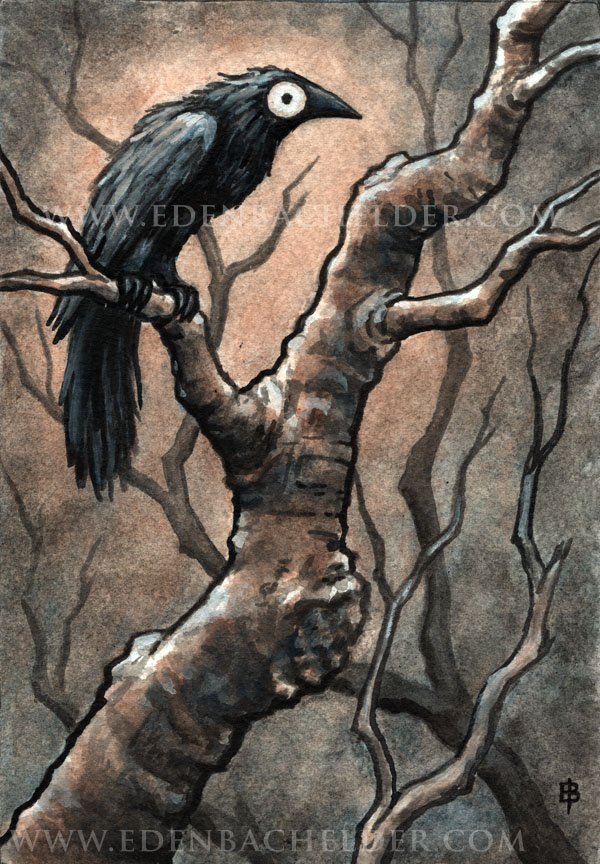 Black Bird IX ink and watercolour