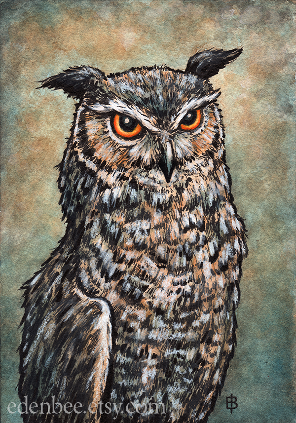 Owl Portrait watercolour and mixed media