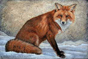 Fox in Snow, acrylic on canvas