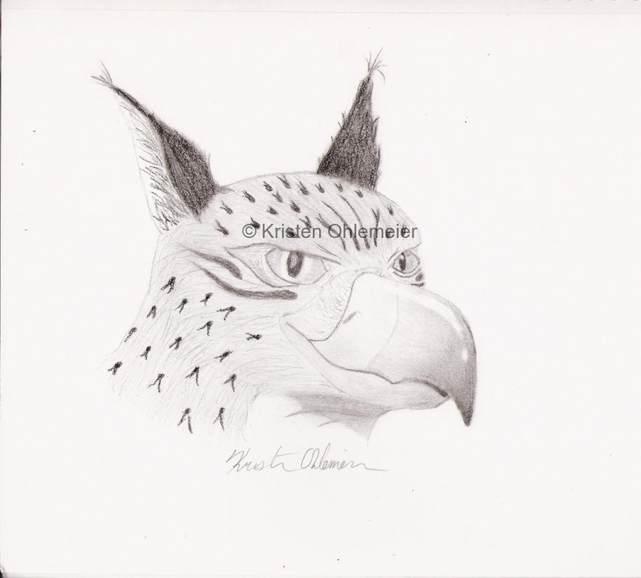 Gryphon Portrait