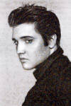 Elvis Photo Mosaic by whendt