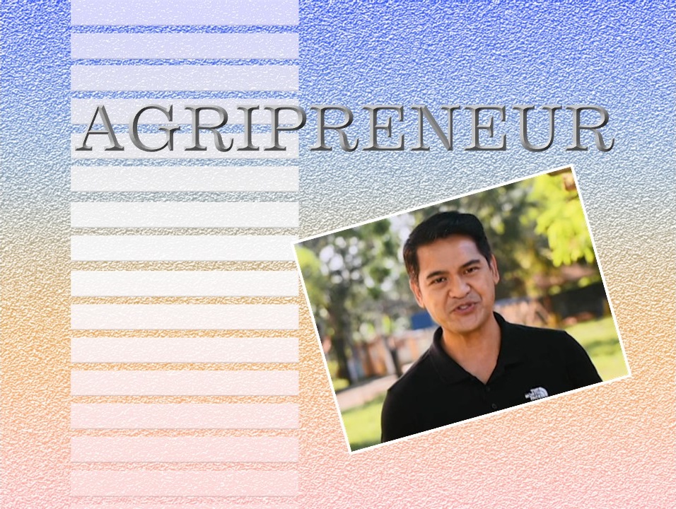Program Bumper Deviantart GMA 7 Program Bumper 1992 Remake Agripreneur by tonyboybautista23 on ...