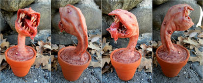 Potted carnivorous beast