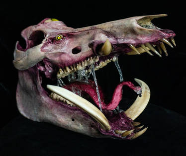 Boar skull